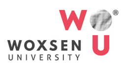 Woxsen University Logo